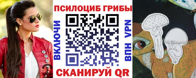купить   ОМГ ОМГ рабочий сайт  Галлюциногенные грибы Psilocybine cubensis  Котельнич 